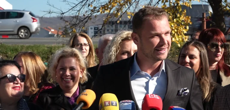 stanivuković-ustavni-sud