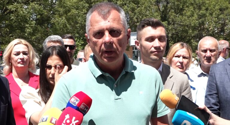 Igor Radojičić govori o inicijativi za ukidanje PDV-a na lijekove i cijenama medikamenata u BiH